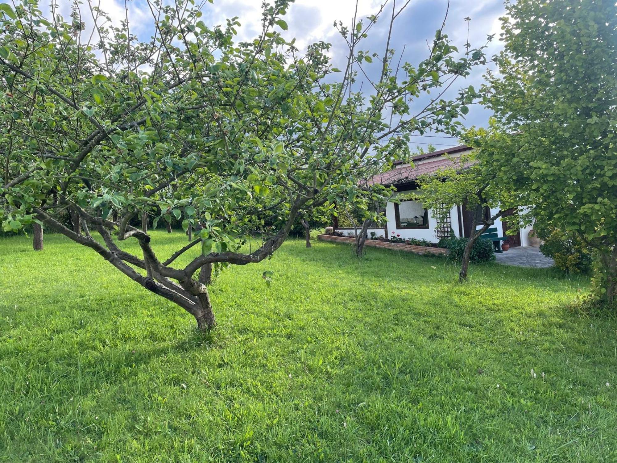 Casa Benjamin Villa Oviedo Dış mekan fotoğraf