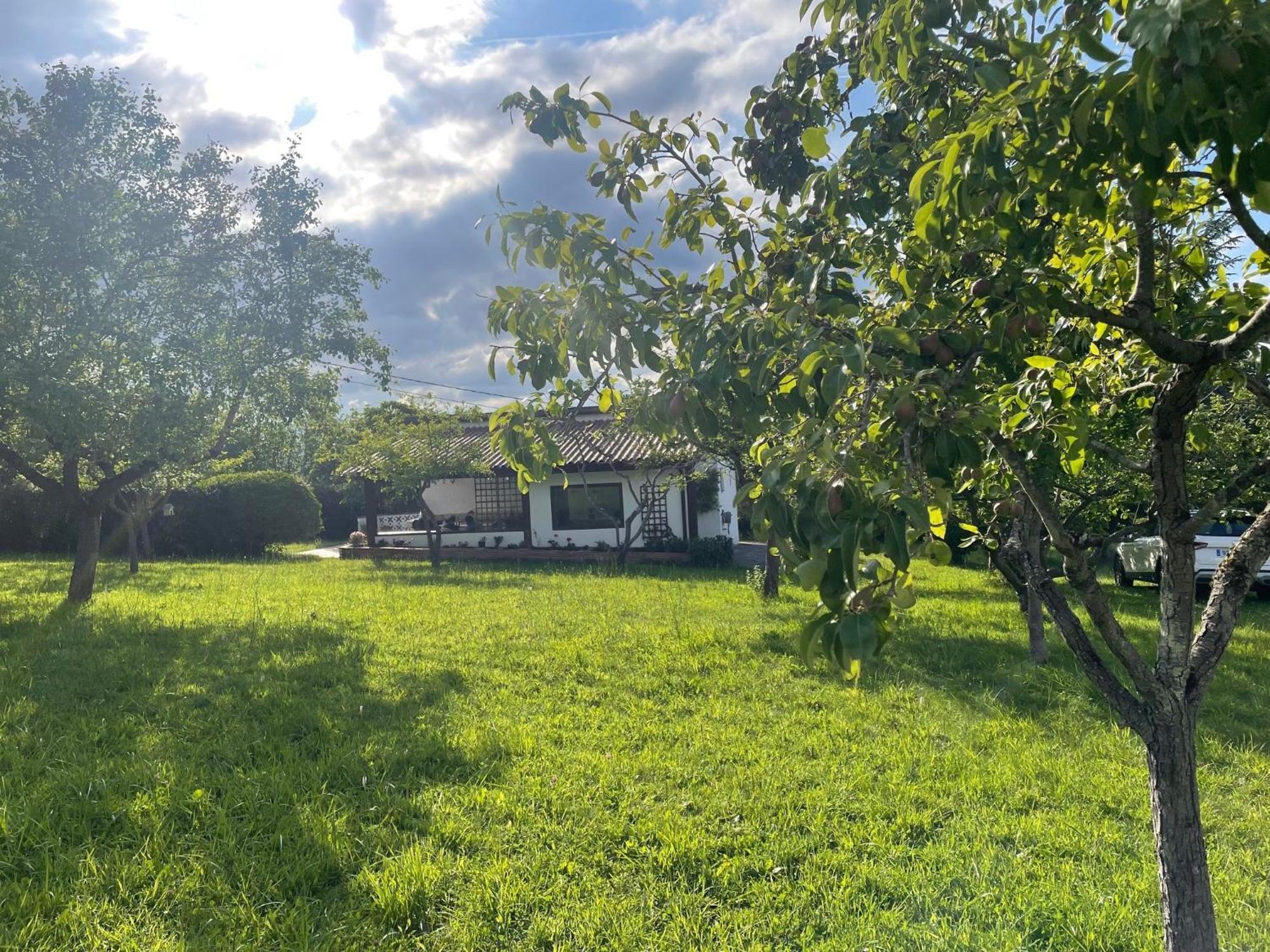 Casa Benjamin Villa Oviedo Dış mekan fotoğraf