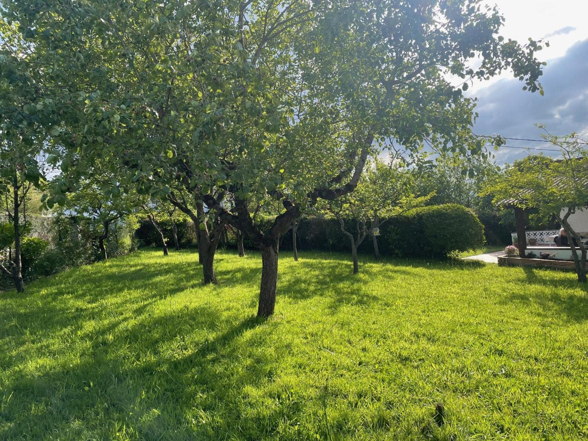 Casa Benjamin Villa Oviedo Dış mekan fotoğraf