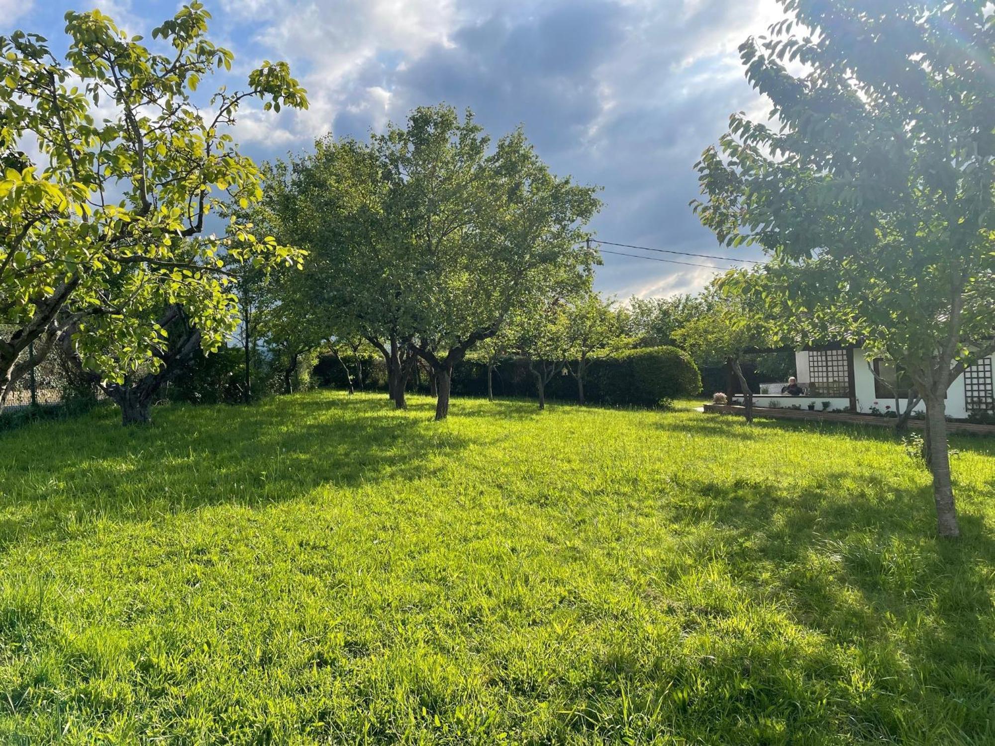 Casa Benjamin Villa Oviedo Dış mekan fotoğraf